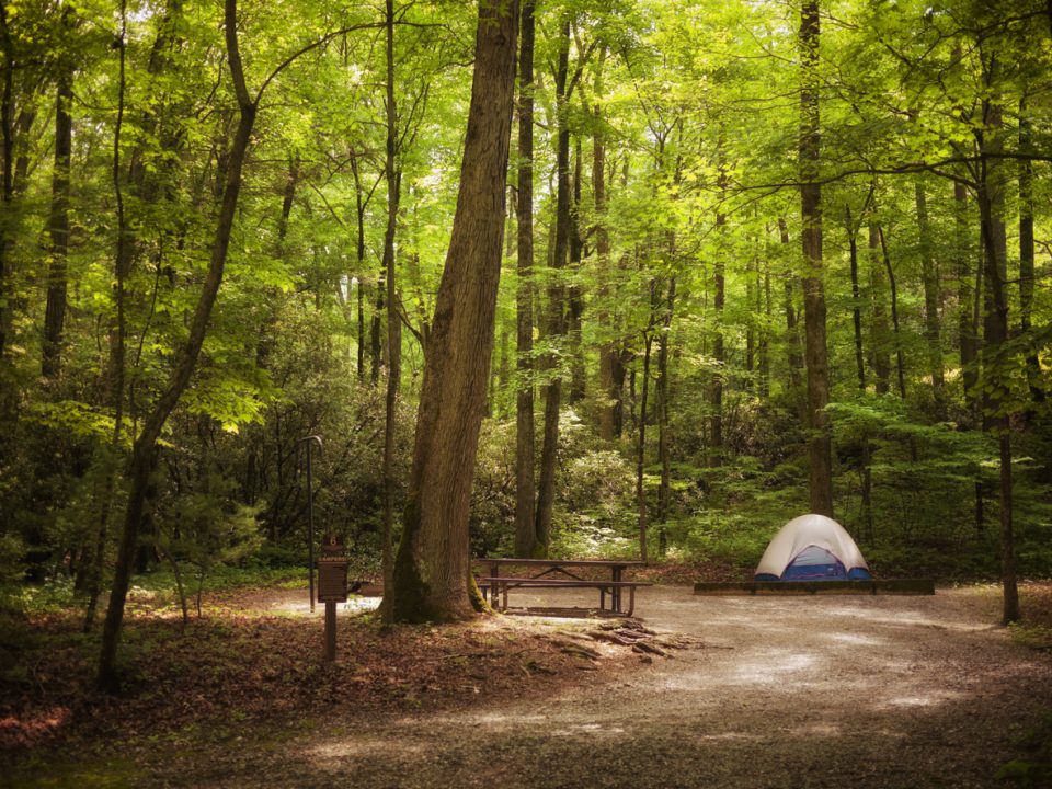 Frank Jackson State Park