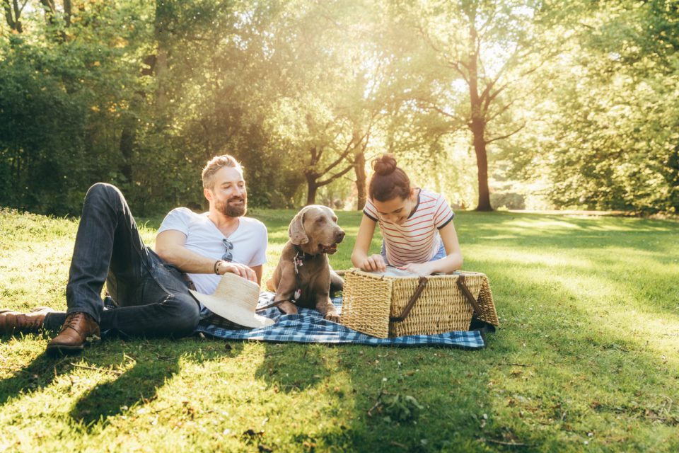 Picnic