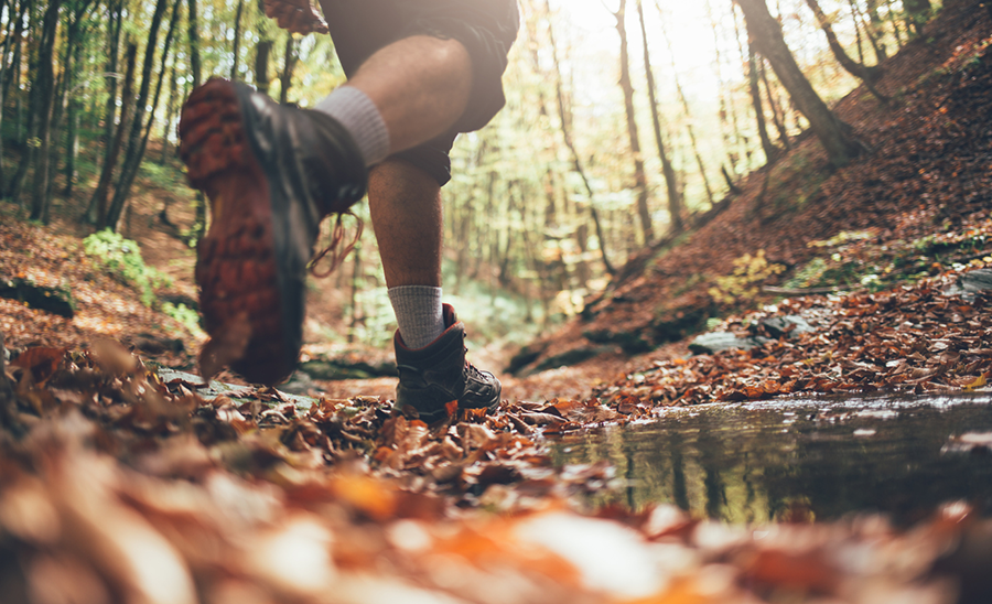 One person hiking in the woods