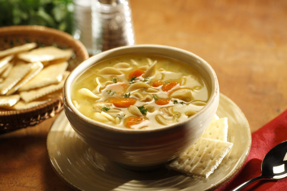 Bowl of chicken noodle soup