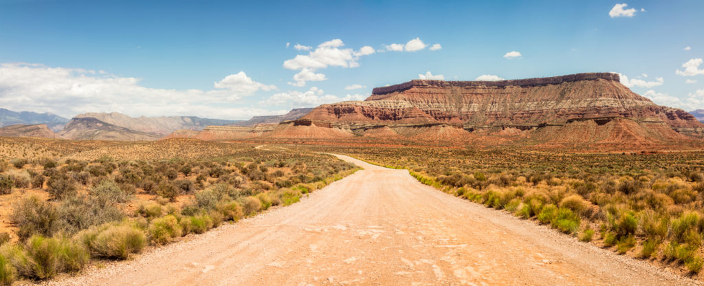 dirt trail in the desert