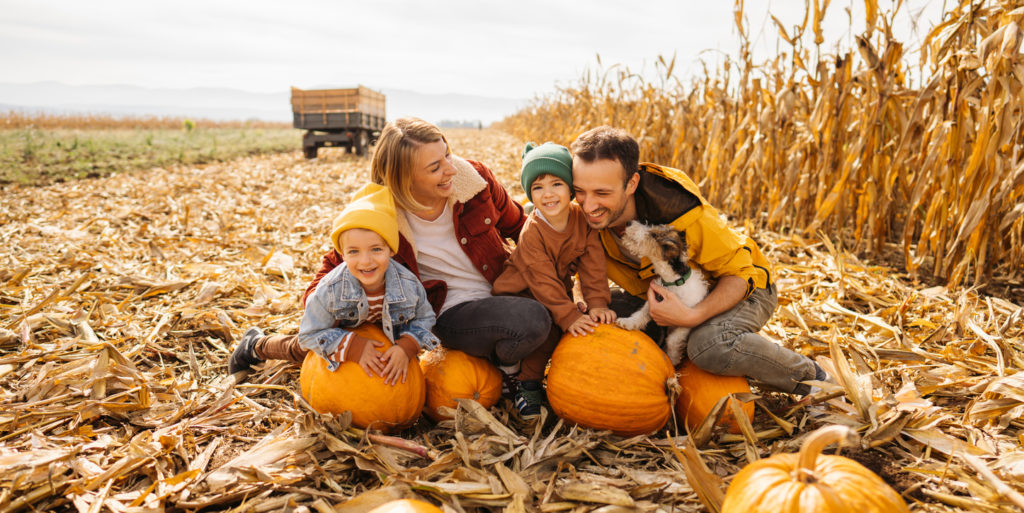 Family in a pumpkin patch